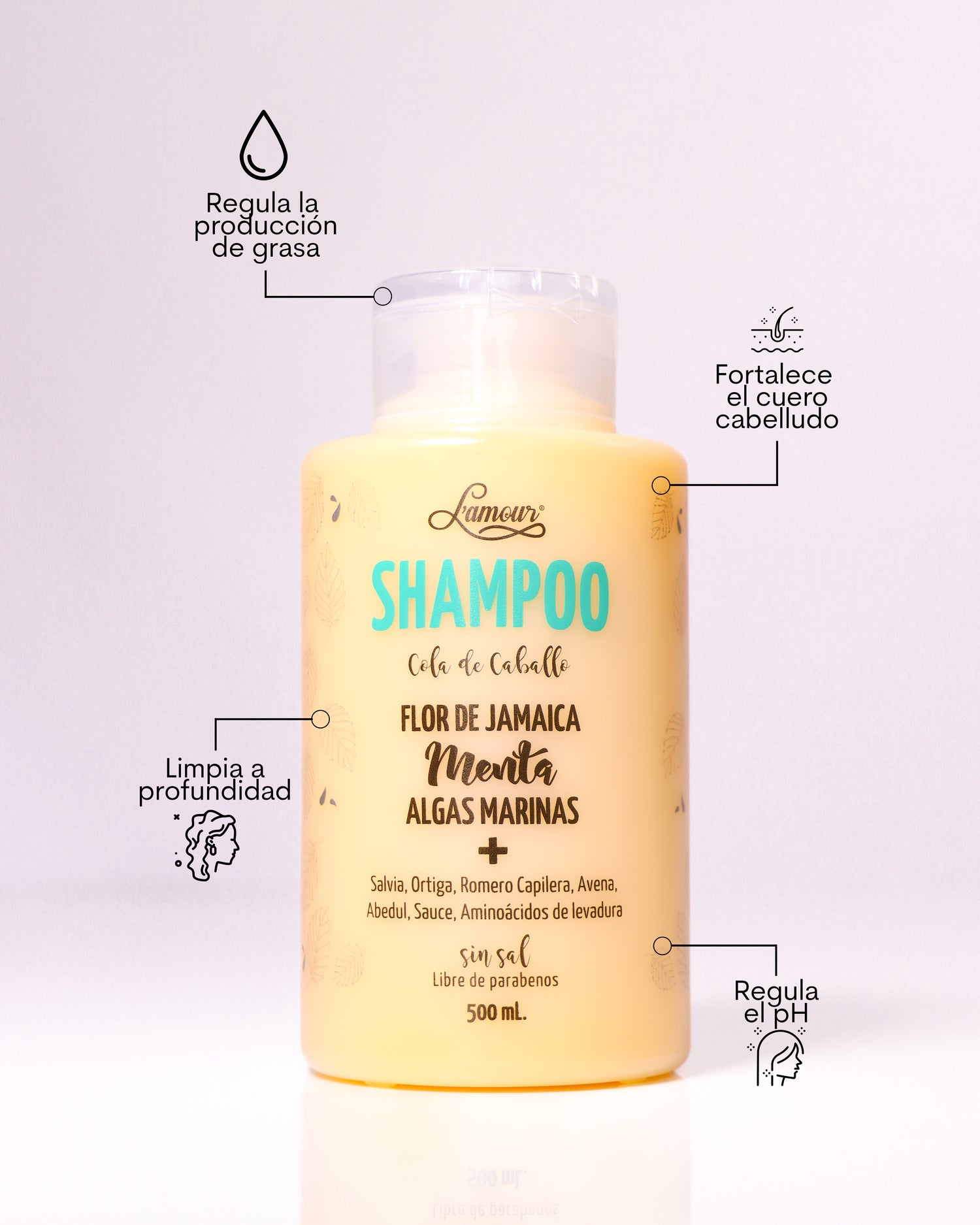 SHAMPOO COLA DE CABALLO